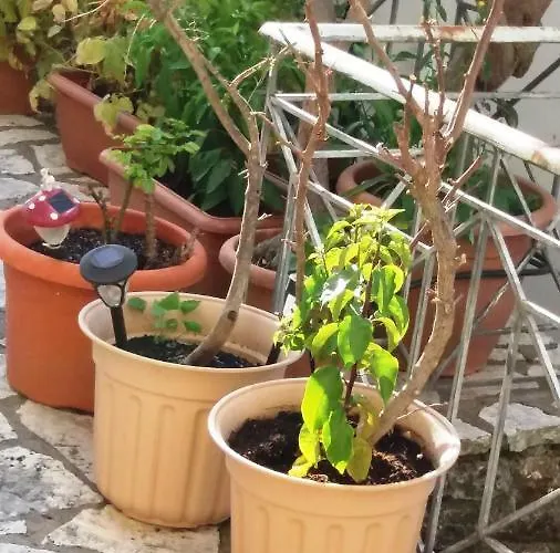 Margarita's Apartamento