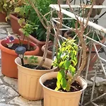 Margarita's Apartament
